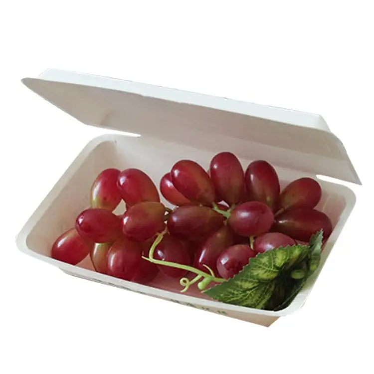 Wholesale Clamshell Food Packaging Paper Box Lunch/Meal Takeaway Paper Container