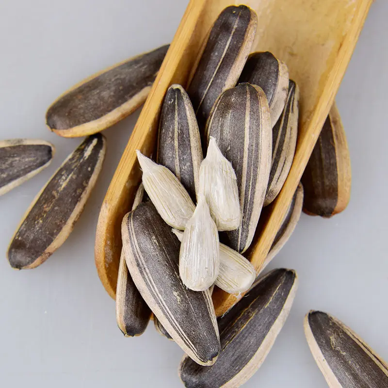 Raw China Wholesale Sunflower Seeds 363 Inner Mongolia best quality cheap price export factory