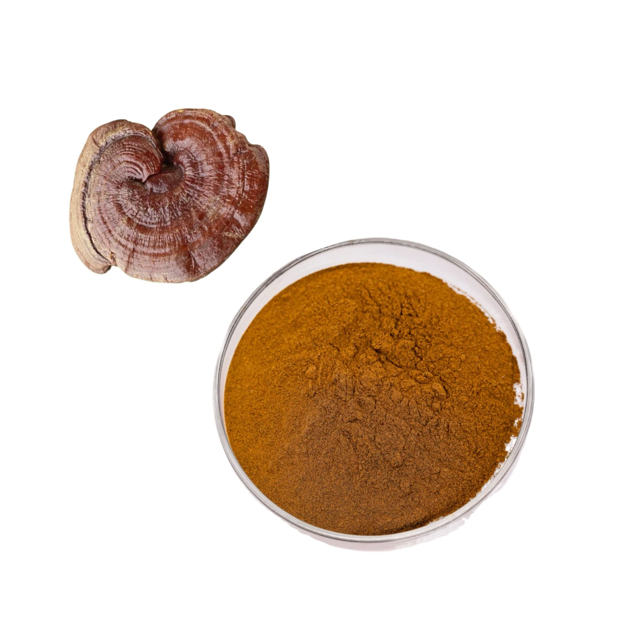 Высококачественный экстракт Ganoderma Lucidum полисахарид Рейши порошок грибов рейши