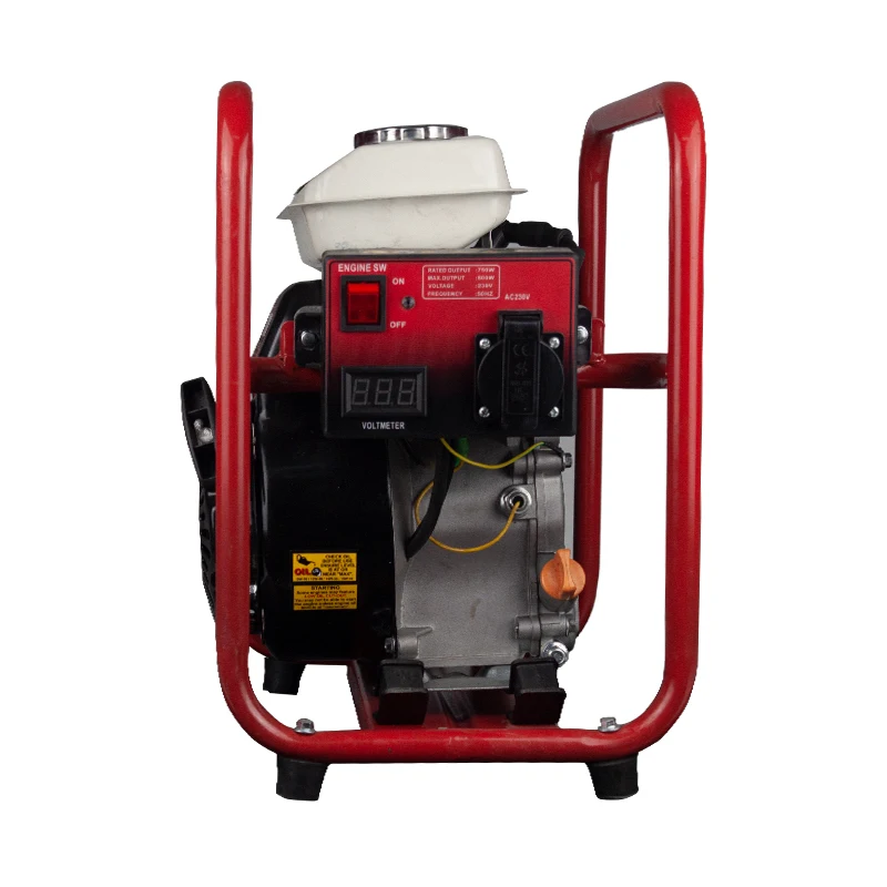 Pure Sine Wave Gasoline inverter generator 1kw dual fuel diesel invertor generator 1kva mini home generator