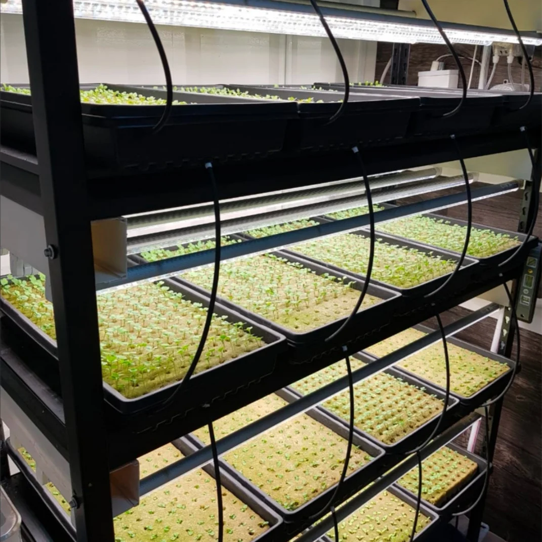 Гидропонная минеральная вата 80 кг/м3 каменная куб для рассады