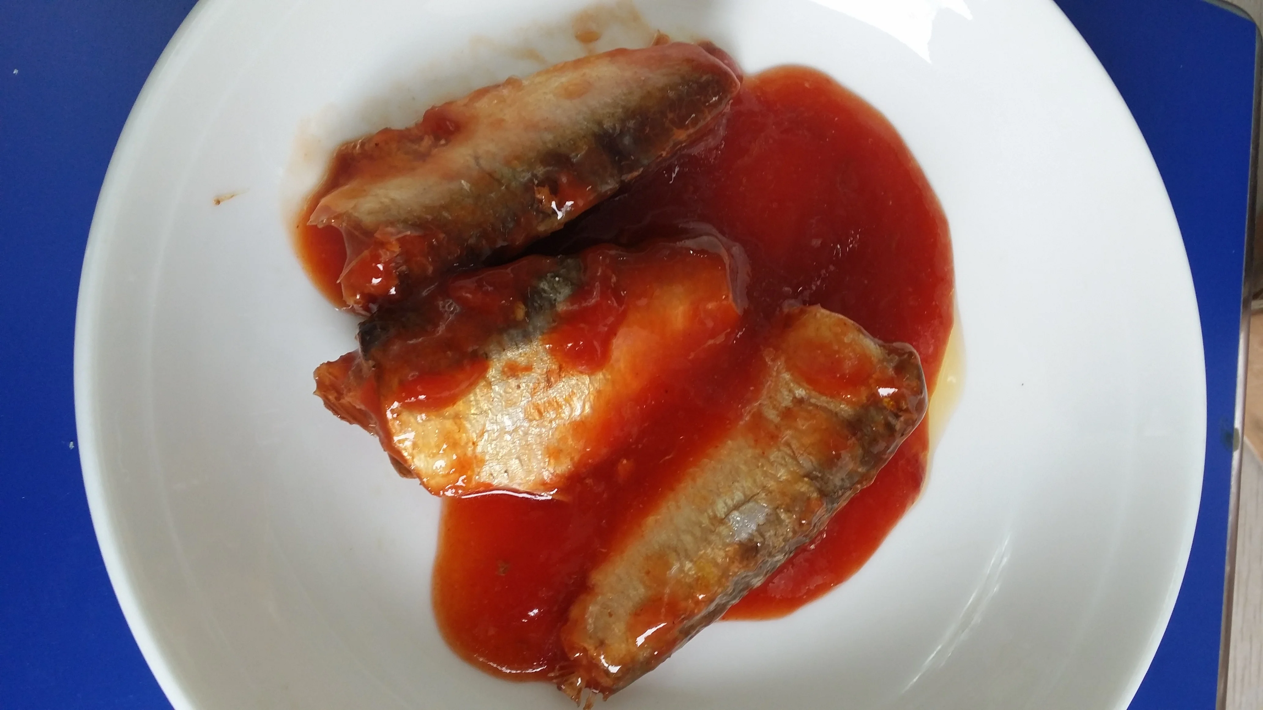 Canned fish and seafood delicious Canned Sardine In Tomato Sauce