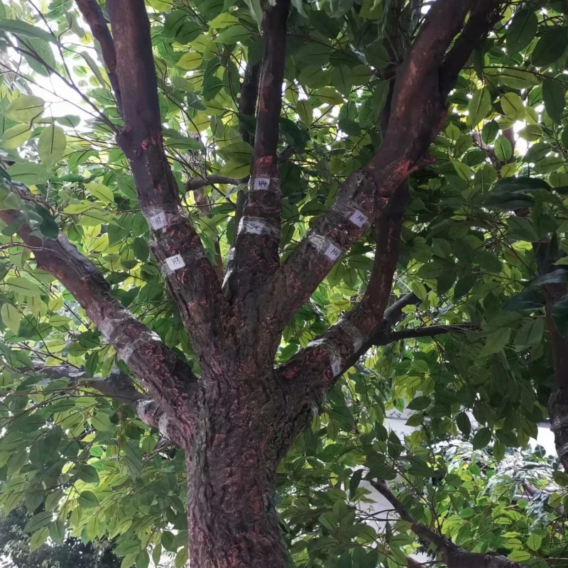 Fake Plastic Plants Decorative Ficus Trees Large Artificial Banyan Tree