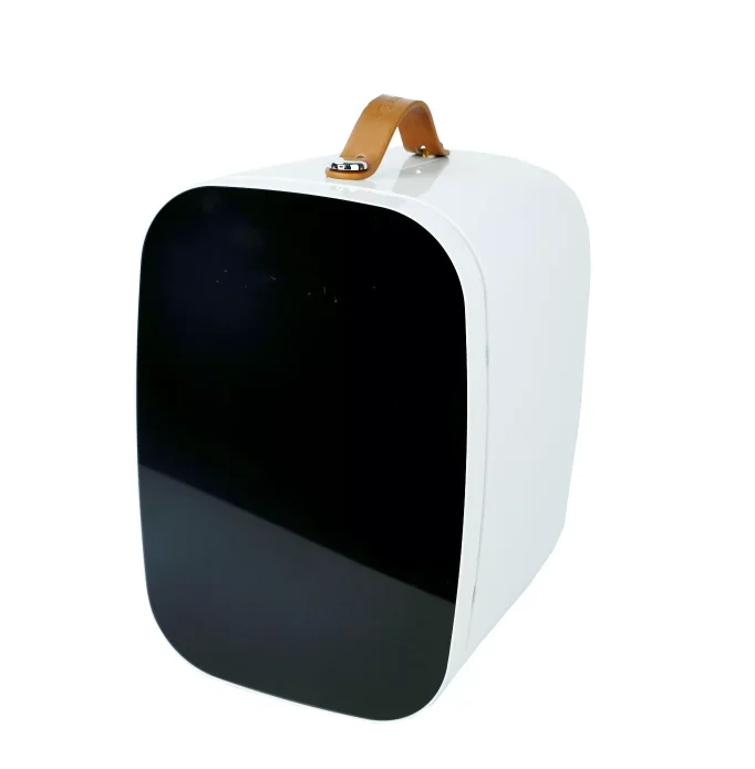 6L with 8 cans Wholesale Hot 10L DC 12V  AC 110V 230V Small Refrigerator CustomHotel Mini Bar beauty car Fridge