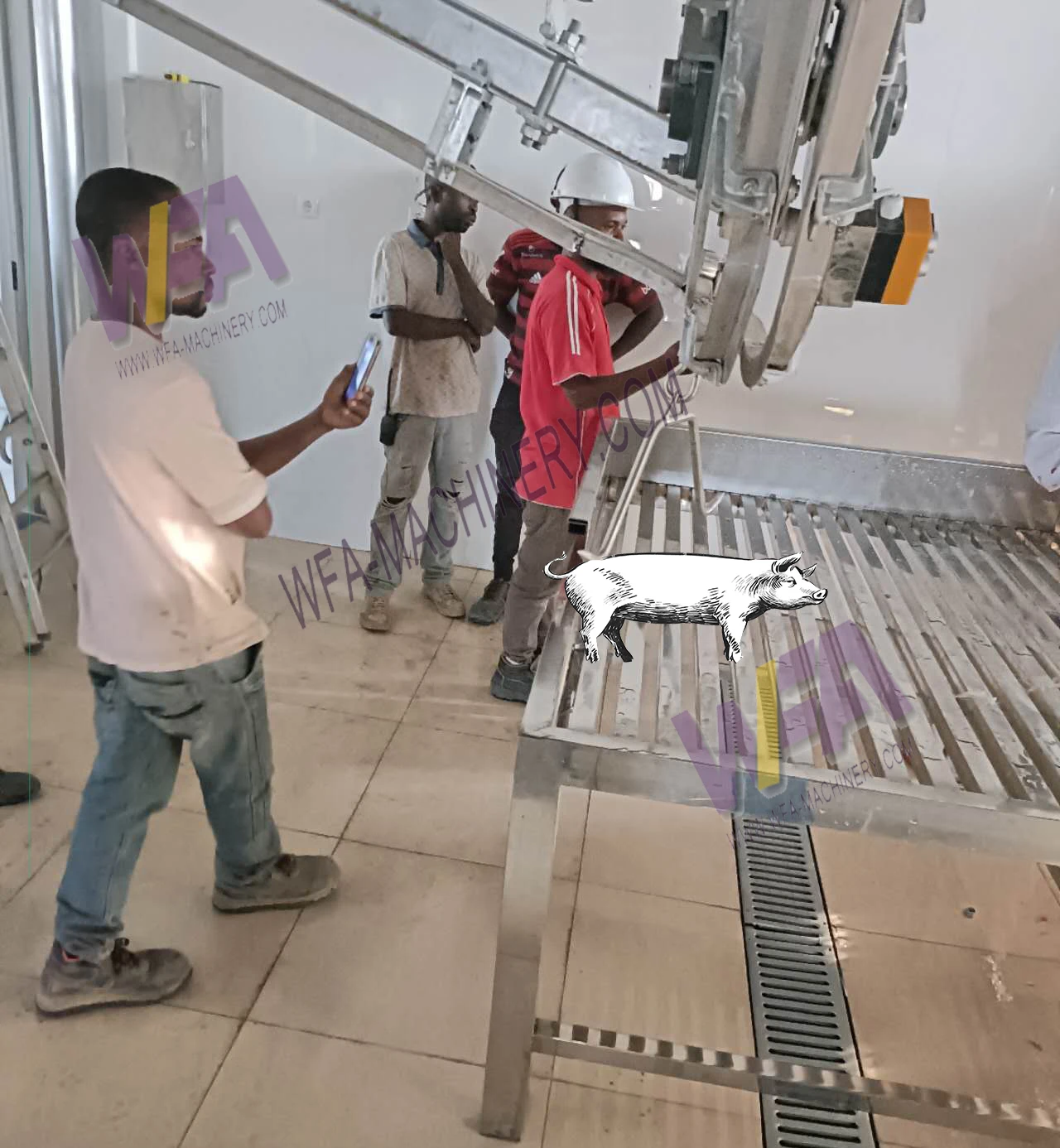 Customized Automatic Pig Abattoir with Slaughtering Equipment for pork processing machinery