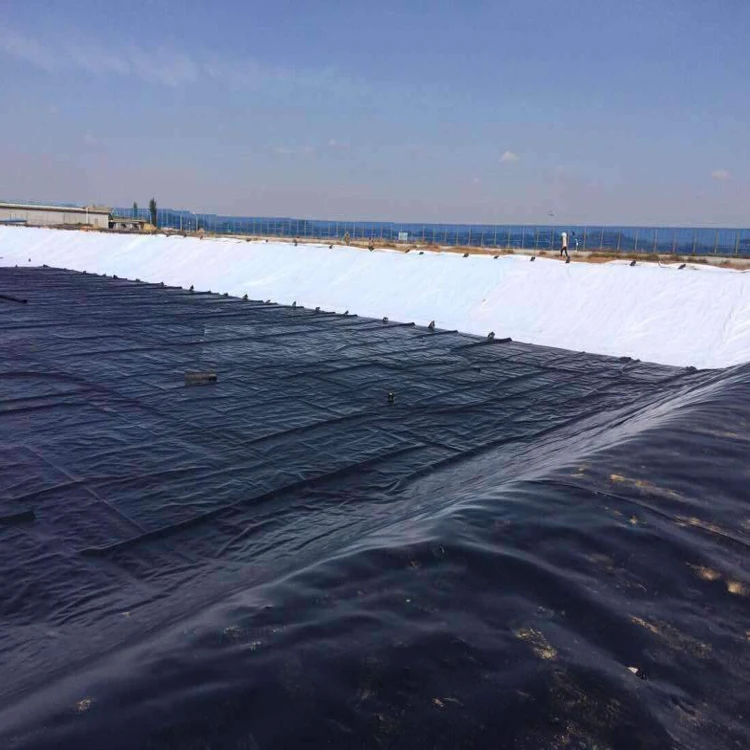 China supplier high quality HDPE geomembrane sheet hdpe pond liner