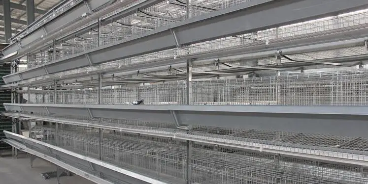 Hot  Production Automatic Poultry Farm Cage for Layer\/hen\/egg Chicken