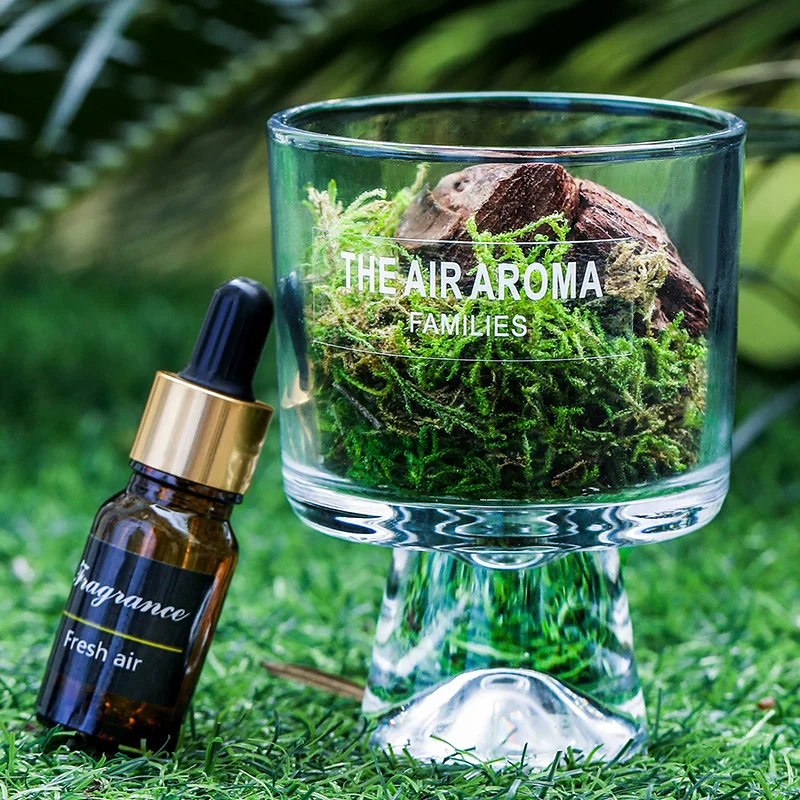 Natural Moss Mini Forest Aromatherapy Modern Home Decor Interior Air Aroma Fragrance Diffuser