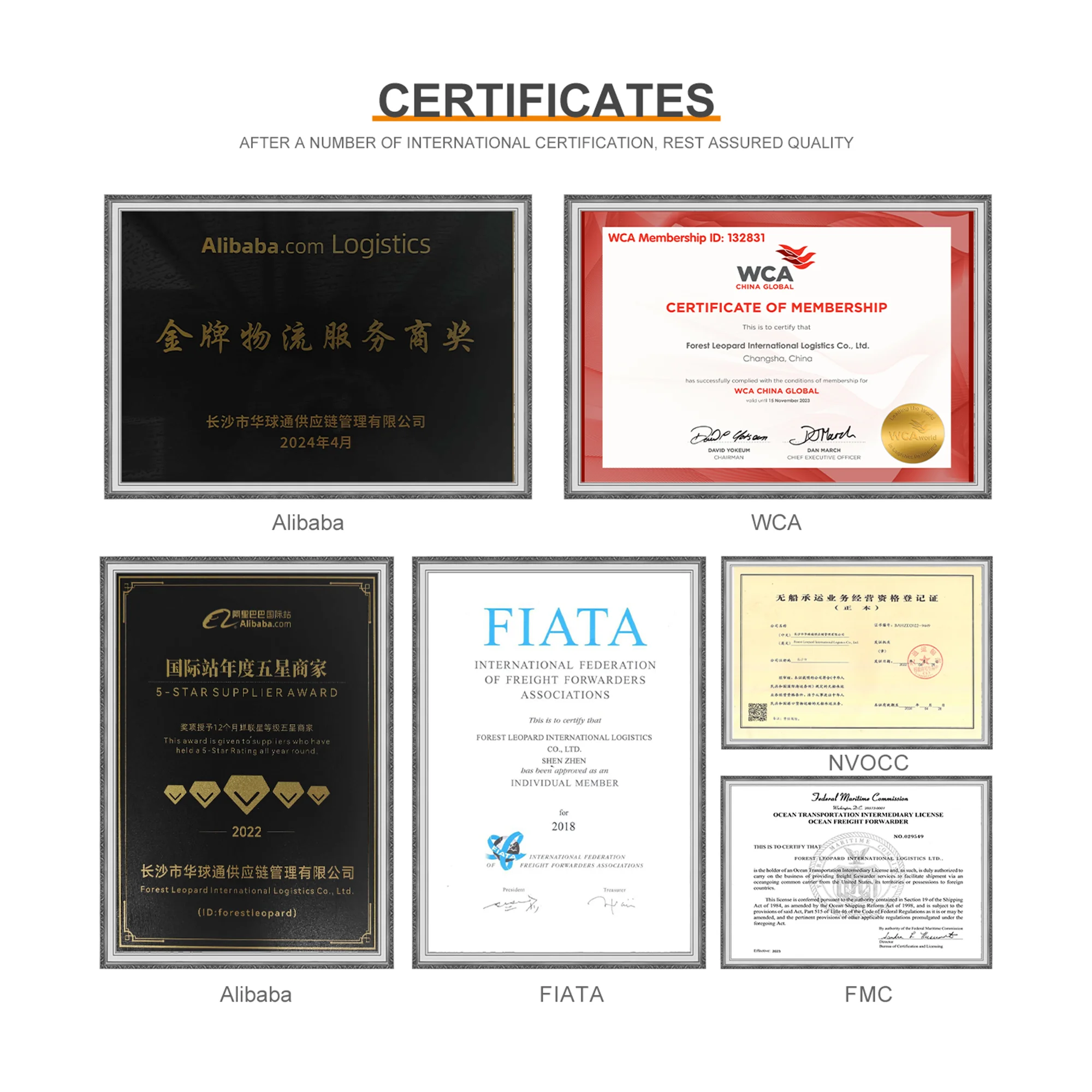 International china to USA/UK/CA France lcl fcl ocean sea freight forwarder fba shipping cargo rates