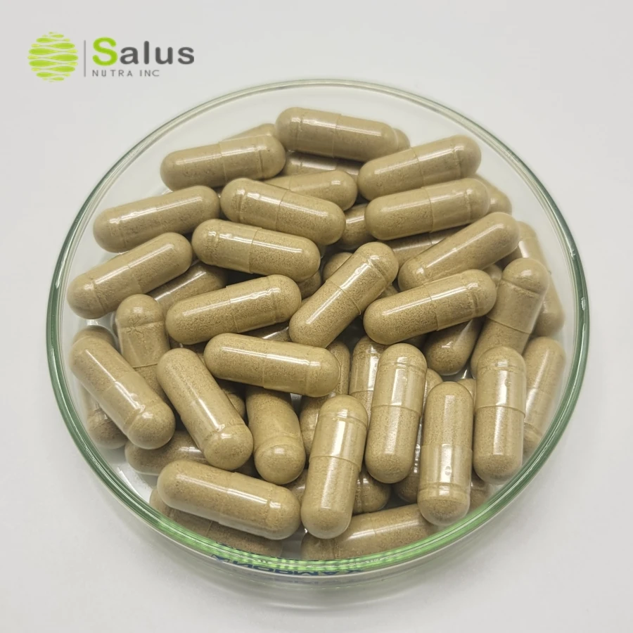 St Johns Wort Capsules Supplement ISO22000 and HALAL Certified Products