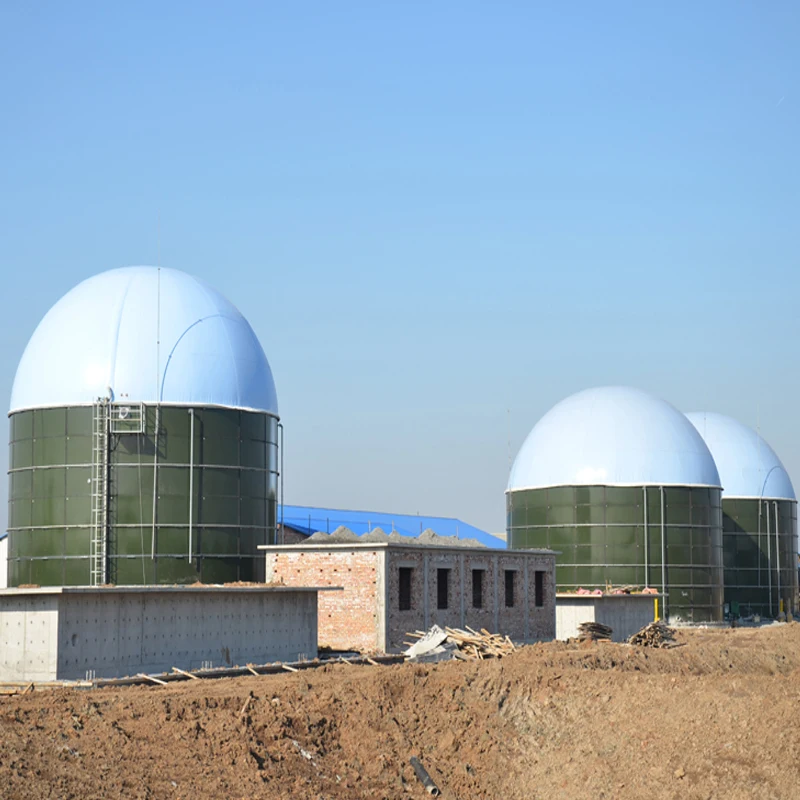 Независимая двойная мембрана био газовый держатель биогаз метан сумка для хранения/воздушный шар/шкаф биогазовой