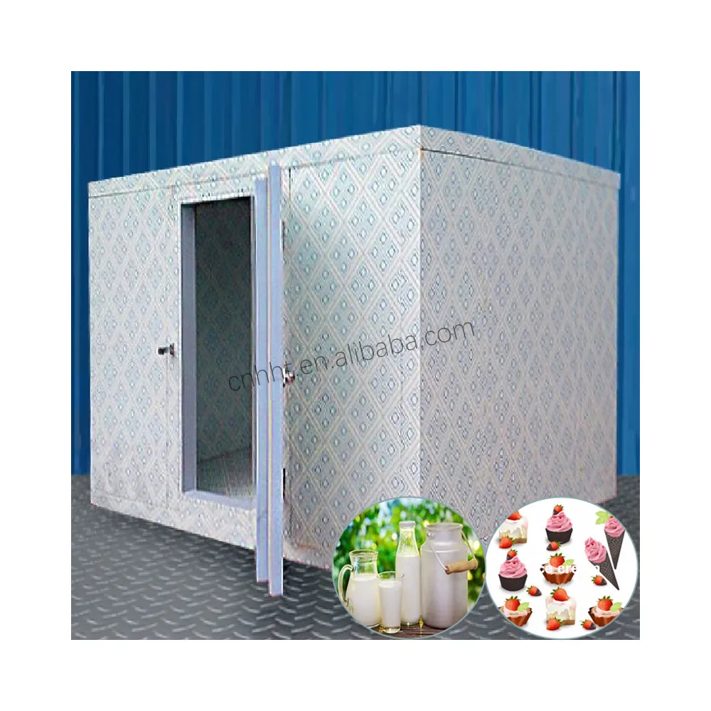 Профессиональный, сделано в Китае, морозильные панели, холодильная камера для китайского года