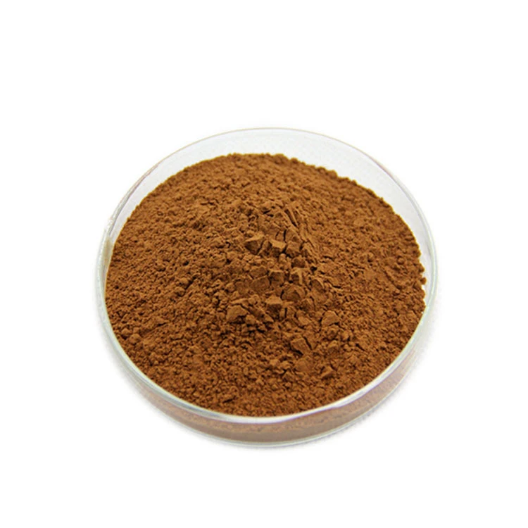 High Quality GMP Standard Natural Sweetness Brown Monk Fruit Extract Powder