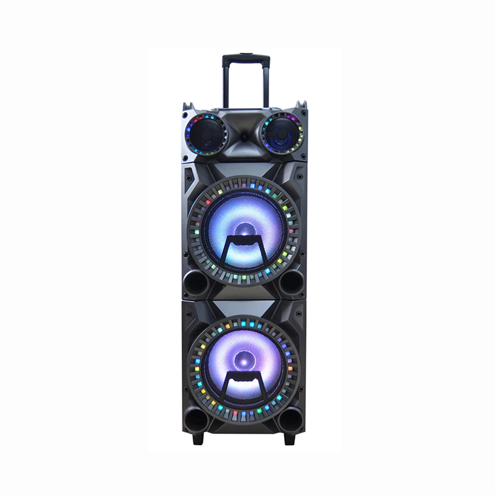 Big karaoke mic amplifier module active speaker with TWS DSP USB, SD, LED digital display