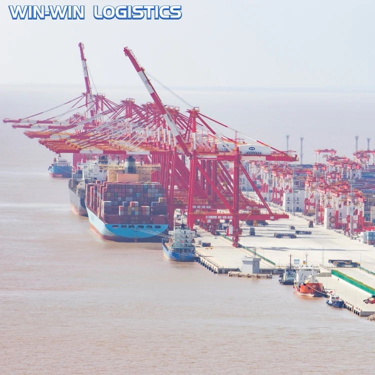 Cheapest Logistics Shipping Rates Amazon Courier Service To Door Philippines/Sri Lanka Sea Cargo Agent China Freight Forwarder