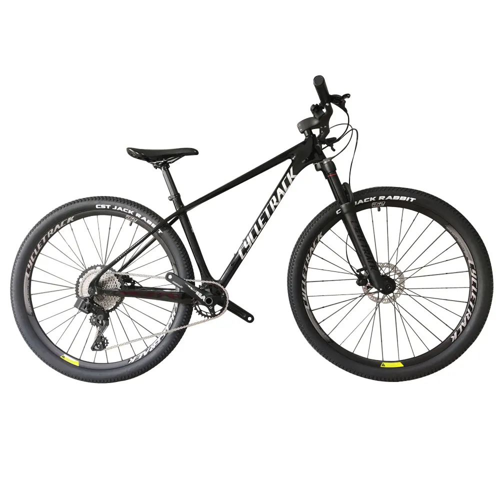 Cycletrack Ck-Crozy Carbon Fiber Frame 12 Speed 29 Inch Downhill MTB Bicycles Transmission Mountain Bike For Adults