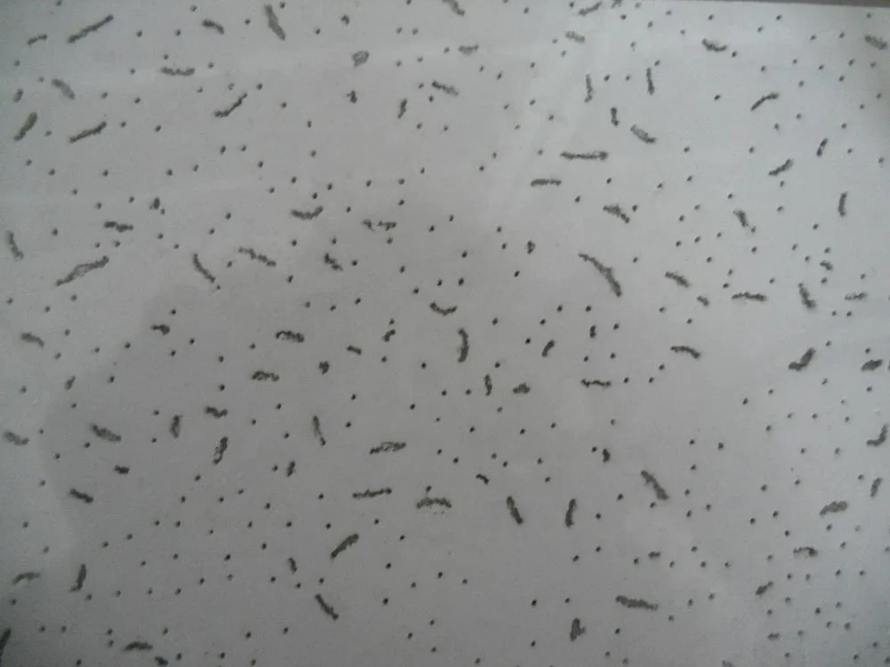 China OEM wholesale high quality tegular mineral ceiling board