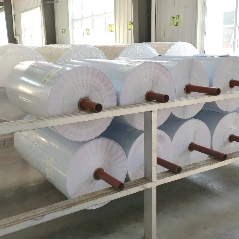 Eco Solvent White PP Paper Roll Composite Polypropylene Printable Poster Synthetic Paper Without Glue