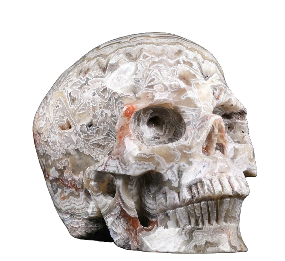 Huge 5.0 inch Mexico Crazy Lace Agate skulls healing crystals stones crystal trophy for sale
