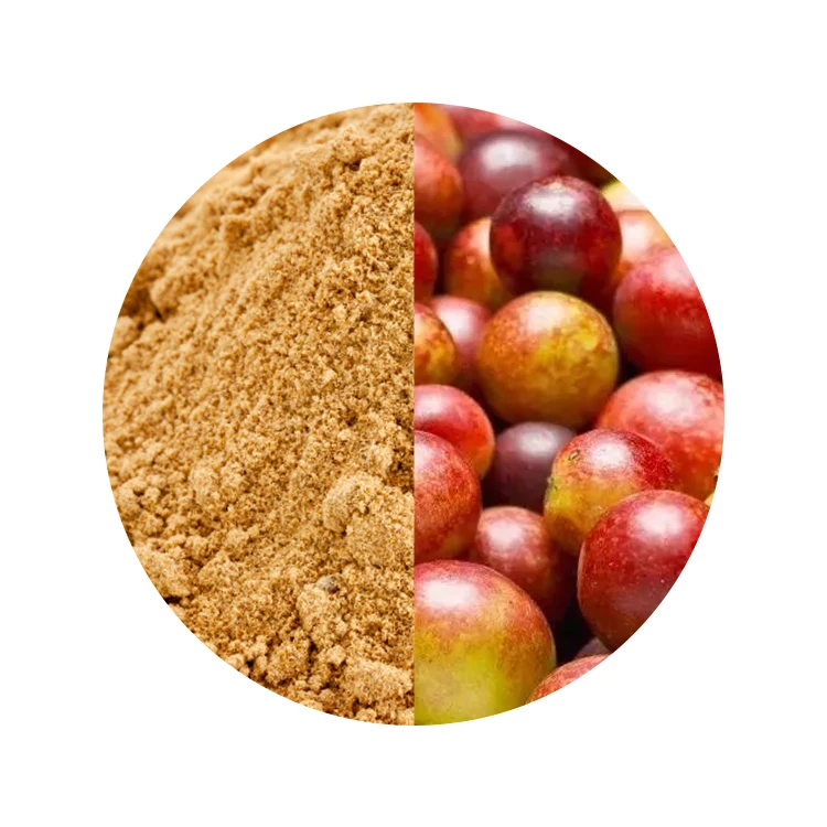 Organic Vitamin C Herb Extract Powder Antioxidant Dietary Supplement Ingredient Freeze Dried Camu Camu Powder