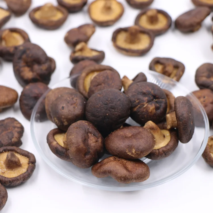 vf vacuum fried dried shiitake mushrooms  bulk oem dried shiitake mushroom chips