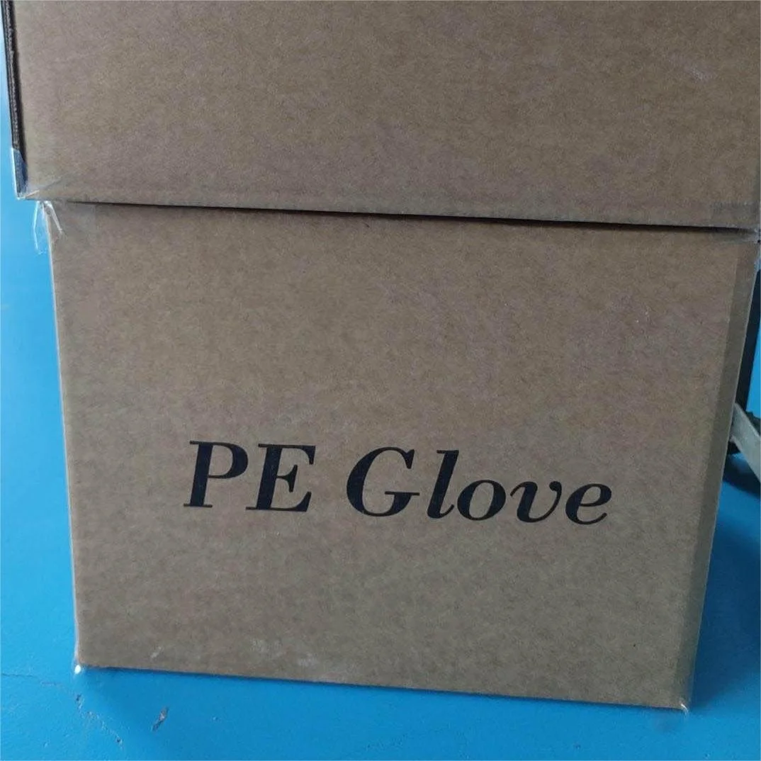 High quality 100pcs/pack disposable plastic clear TPE gloves for export South Korea