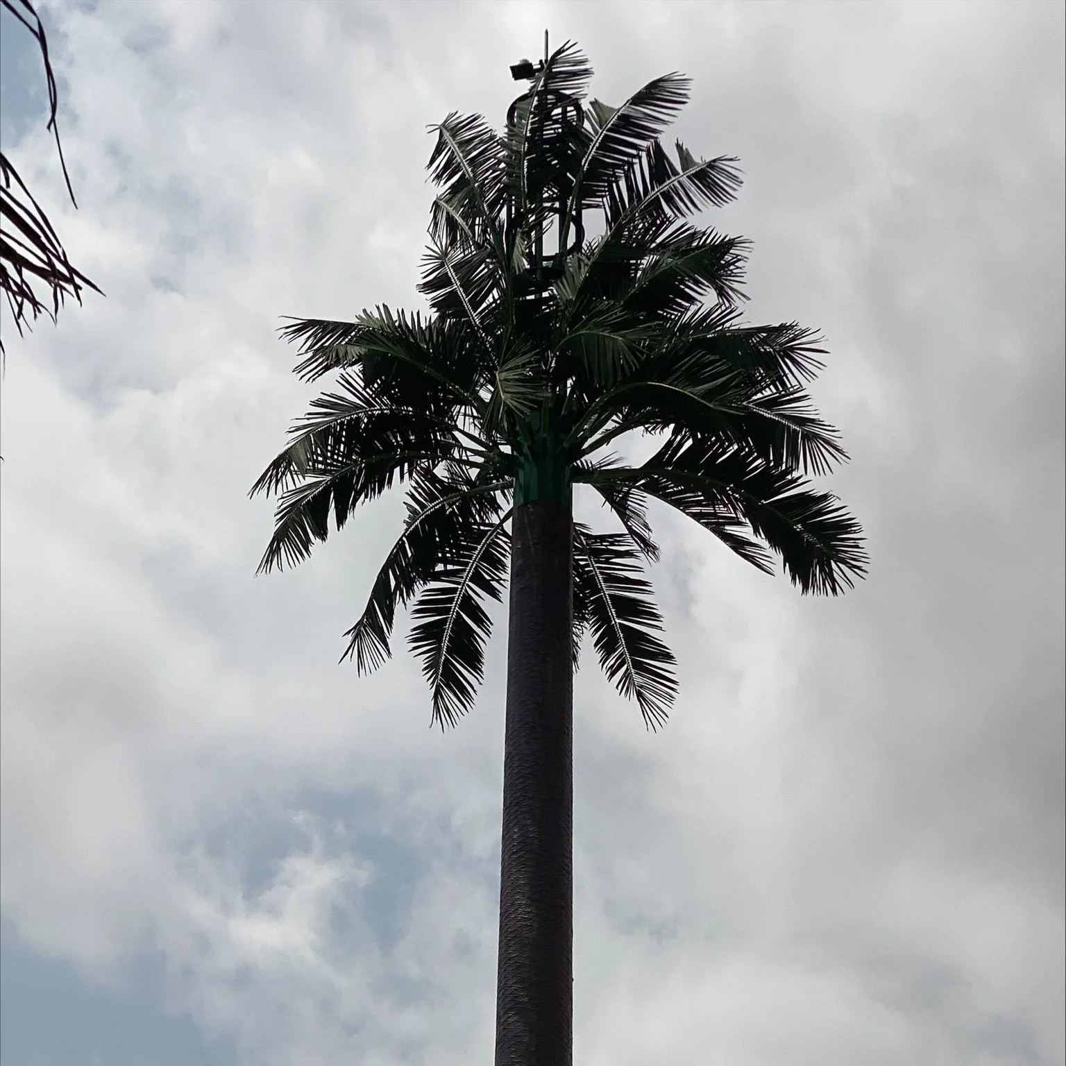 Steel Monopole Bionic Palm Tree Telecom Tower with Accessories