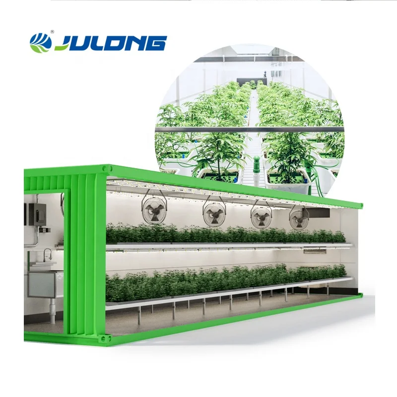 Shipping Container Farm Vertical Farming Equipment Hydroponic Hemp Growing Container Greenhouse With Climate Control System