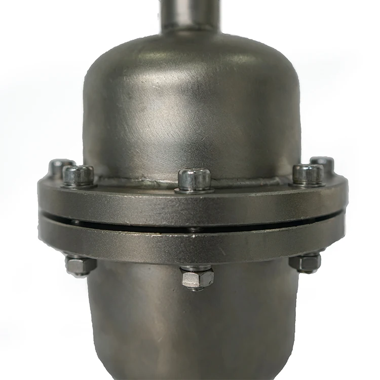 Hephis Stainless Steel Pulsation Damper Airbag Type Pulse Damper For Water Treatment Plants Dosing Pump Fittings