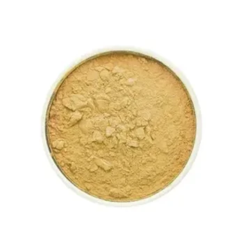 Wholesale Factory-supply 100% Natural Schizochytrium algae extracts DHA powder DHA Powder 22% from Schizochytrium