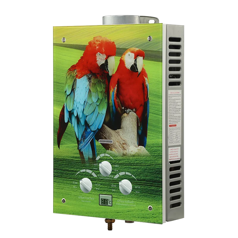 6L 8L 10L 16L 24L Hot Selling Best Welcome Fashion Attractive Design Oman Market Wholesale Price Natural Gas Water Heater