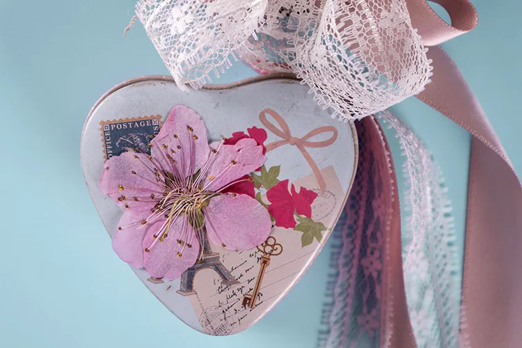 Peach Blossom Scrapbooking Epoxy Resin Natural Plant Eco-friendly Real Pressed Flower