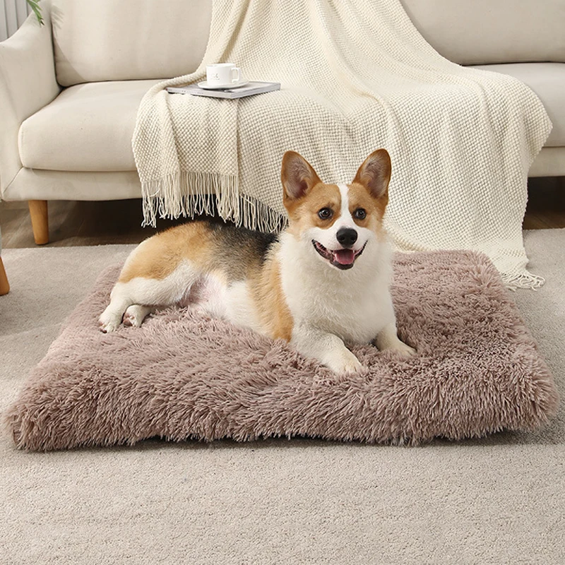 16 Colors Pet Dog Mat Memory Sponge Cushion Detachable Cat Bed Wholesale Warm Washable Sofa in Winter