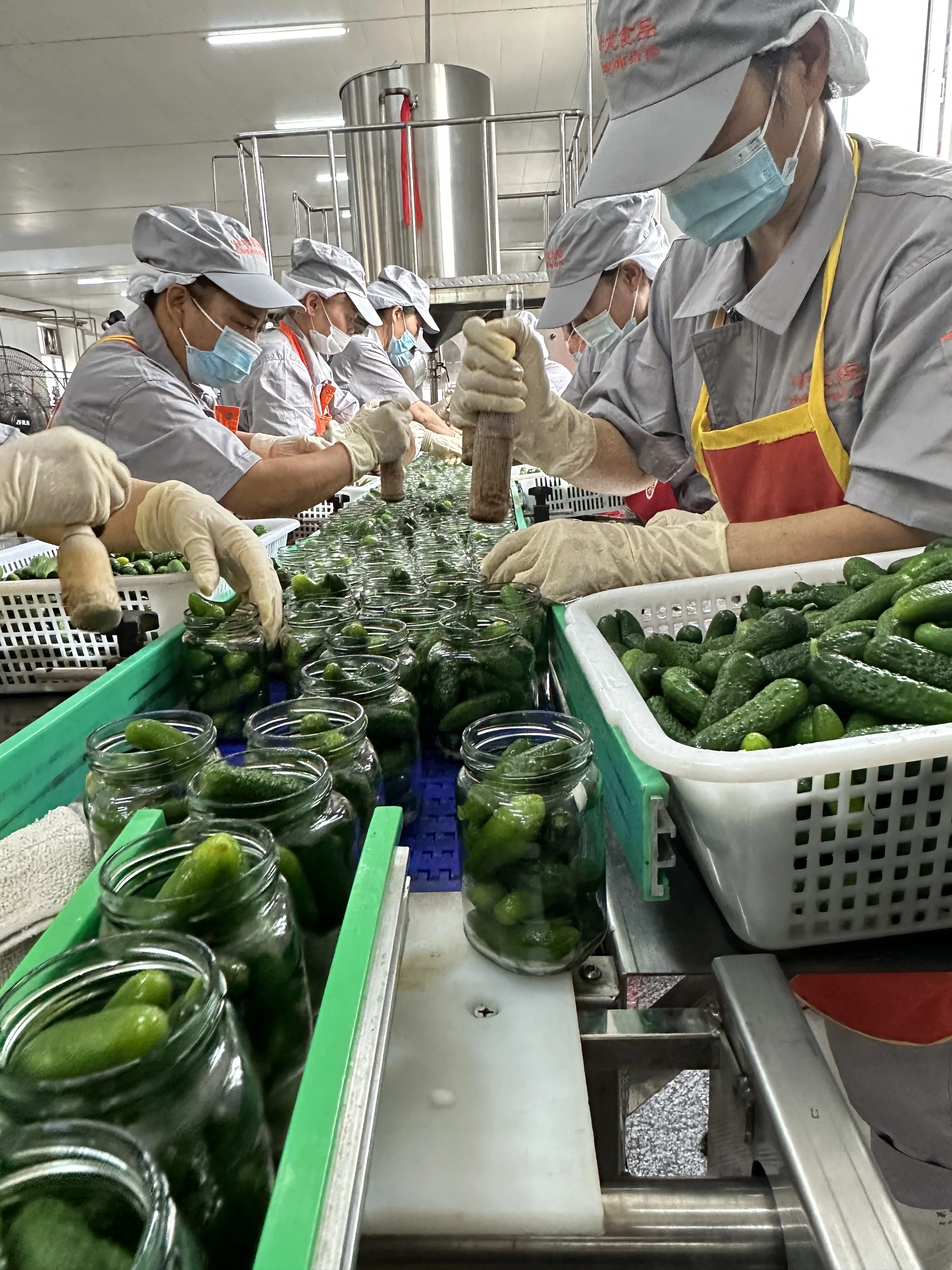 Оптовая продажа высокое качество маринованный огурец Размер 3-6 см корнишоны европейский вкус Berlinskye в 2024 году
