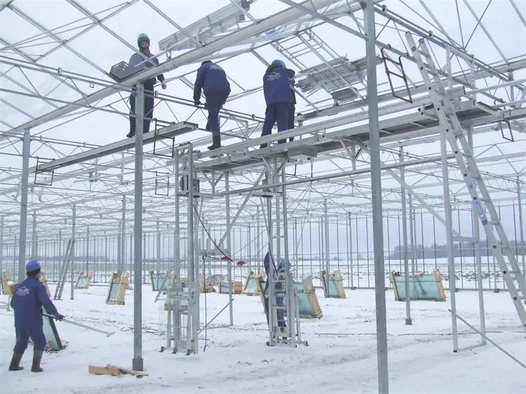 Newest Multi-span Glass Greenhouse Hydroponic Greenhouse Venlo Roof Glass Covered greenhouse