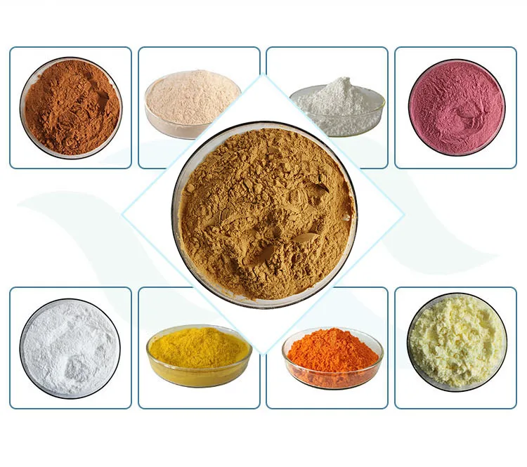 Wholesale Cheap Price Best Quality Beer Flower Extract