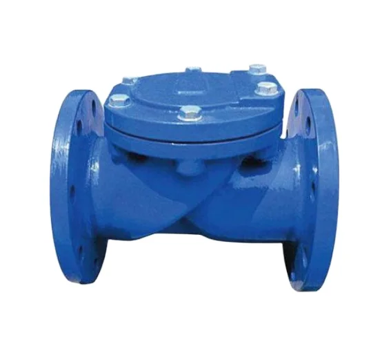 Rubber plate check valve