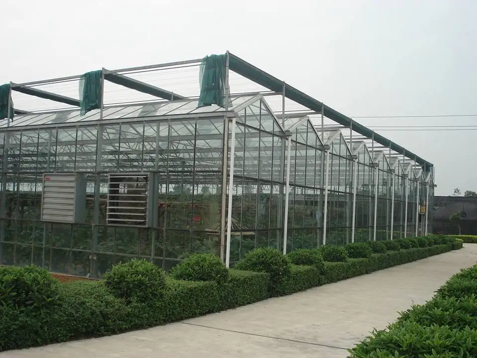 
high end flower rose/tulip growing greenhouse with exact climate control 