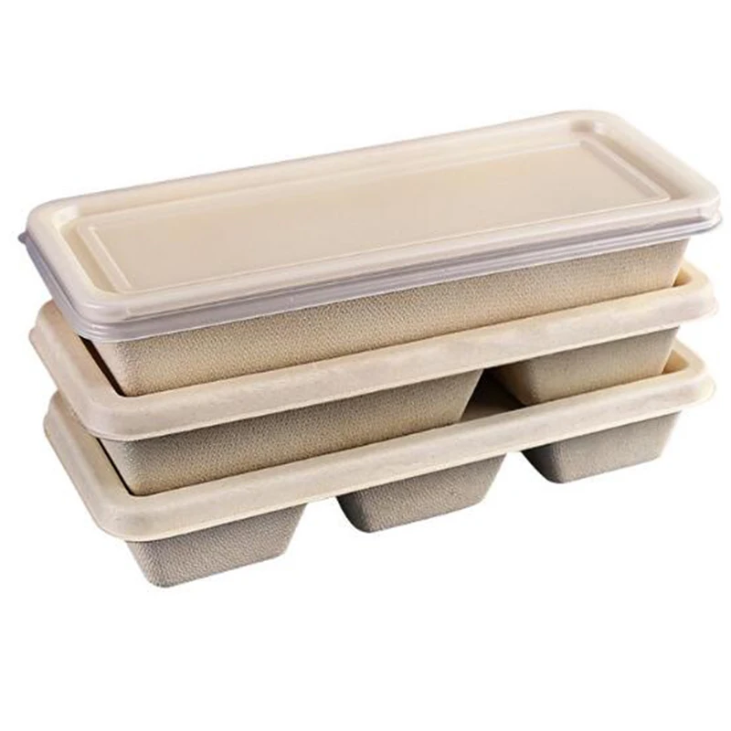 Biodegradable disposable 3 compartment rectangle take out food container box packaging