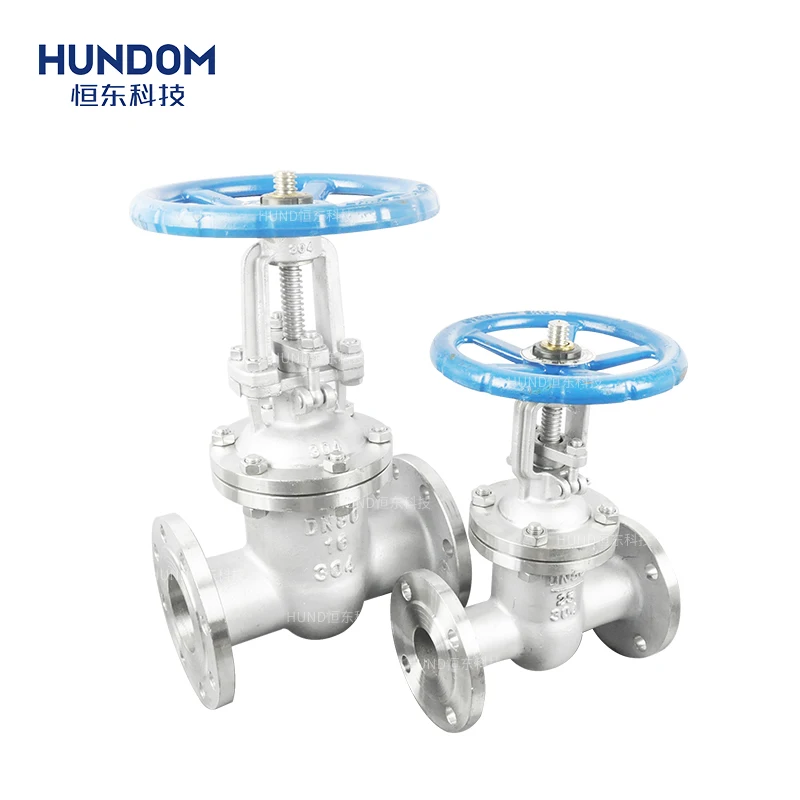 HUNDOM Pn16 SS 304 316l Dn15-dn80 high pressure flange connecting manual gate valve with flanges