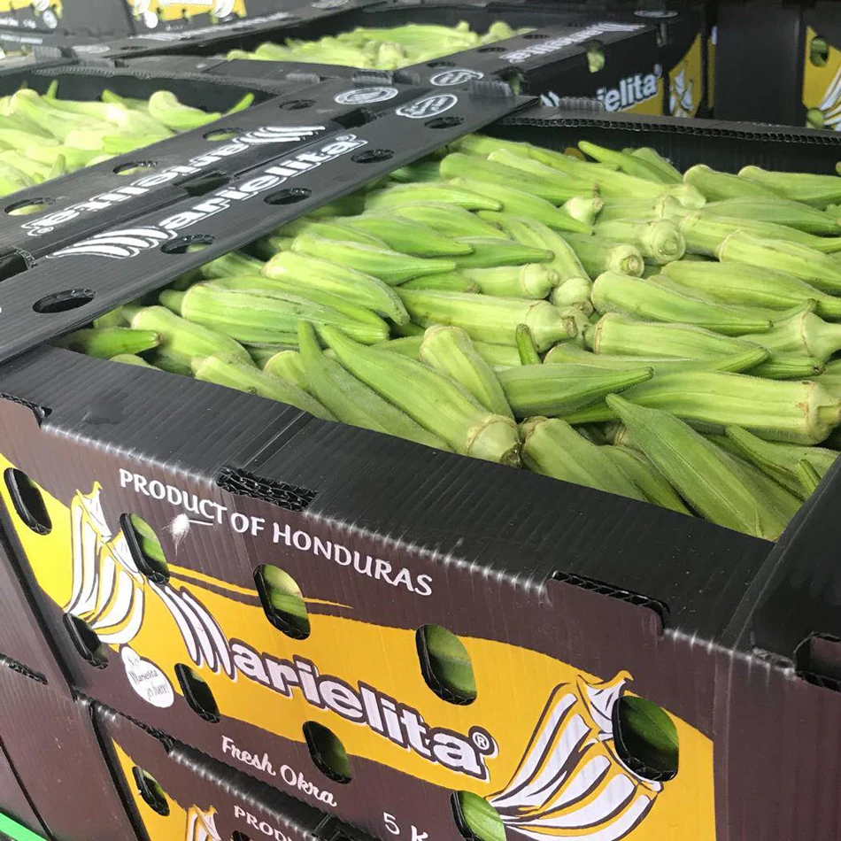 Индивидуальные высококачественные дешевые пластиковые гофрированные коробки для упаковки