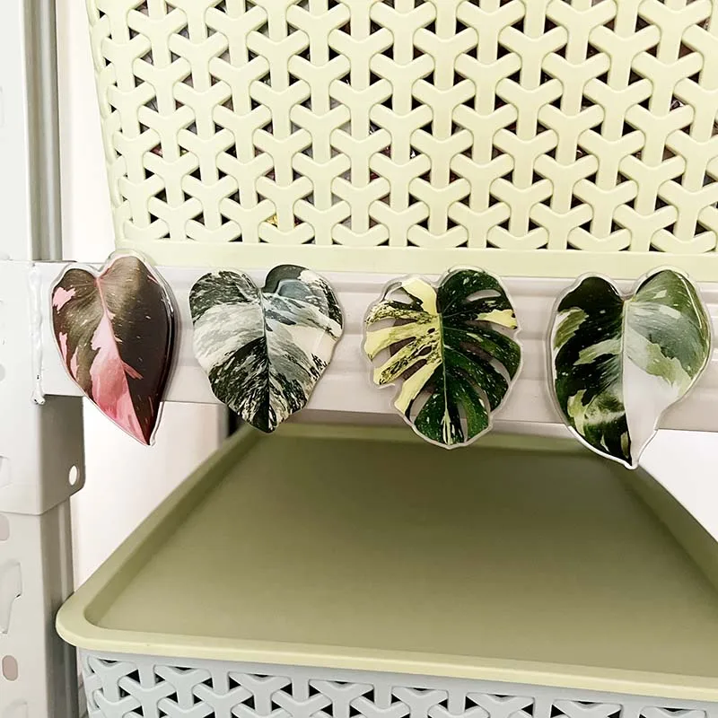 [Free Sample Custom] Anime Acrylic Fridge Sticker Transparent Plexiglass Shaped Plant Leaf Soft Magnetic Fridge Sticker