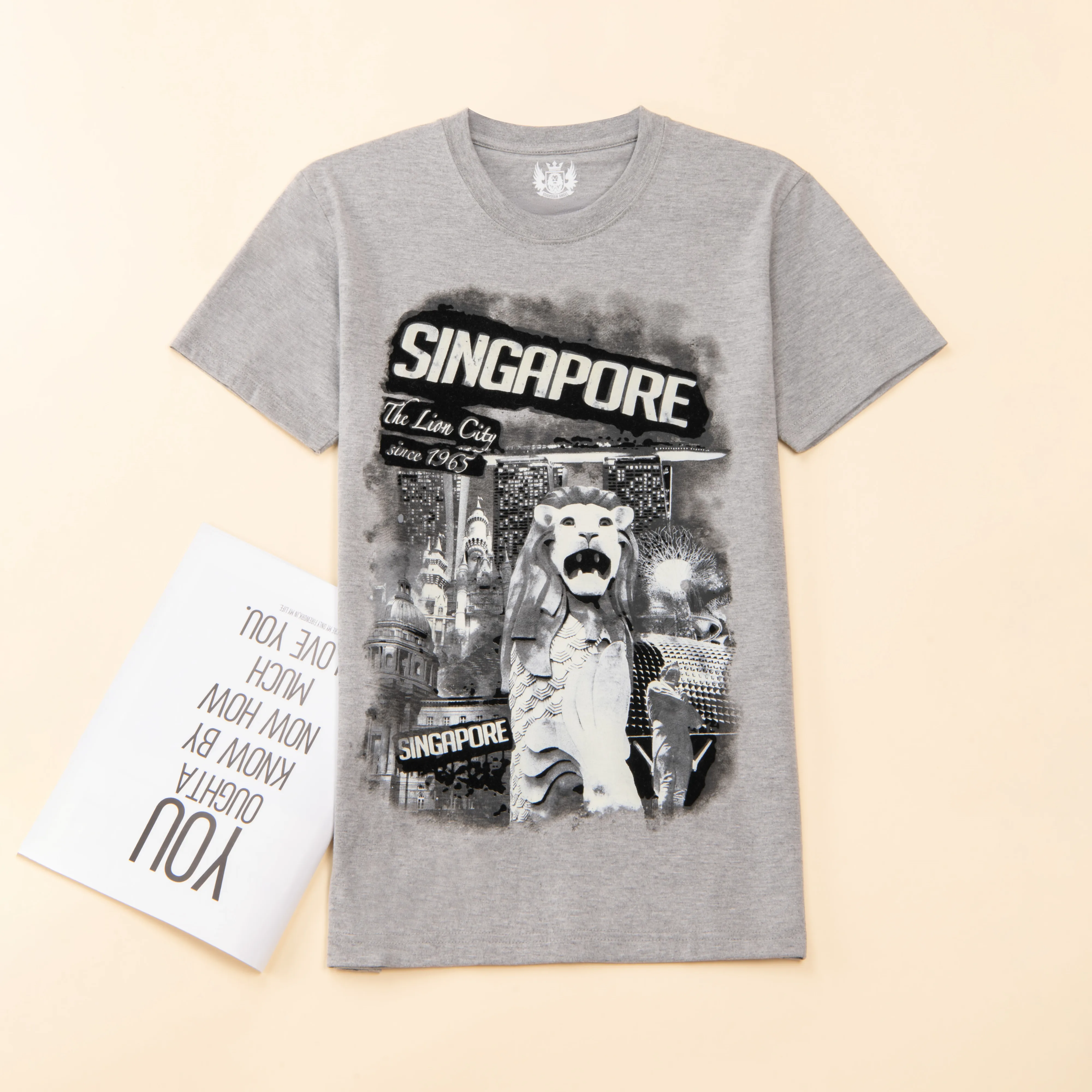 Superior quality 210gsm 100% cotton T-Shirt Casual Plain Mens Crew Neck Tshirt Custom Printing T shirt For Man