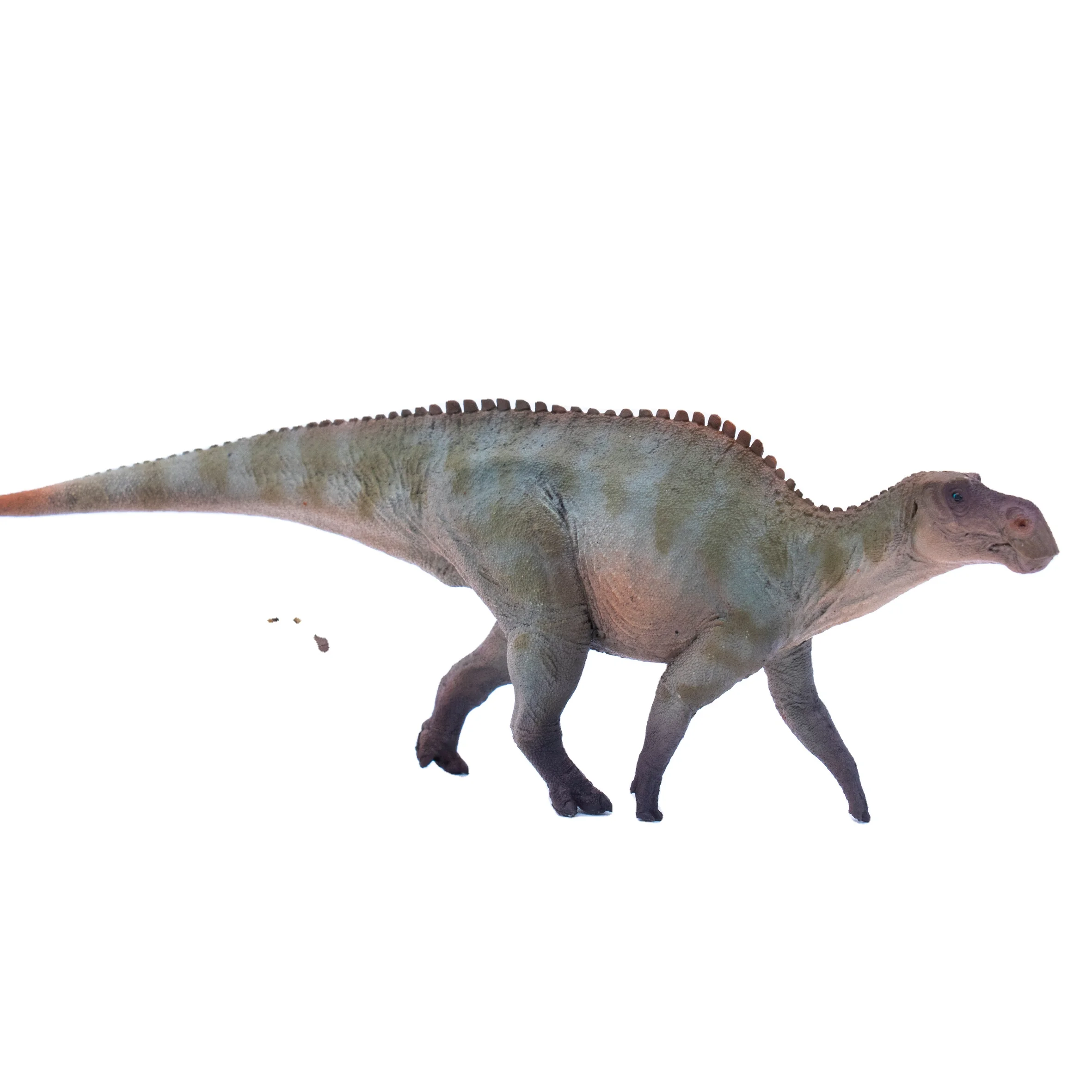 HaoLongGood Custom Plastic Realistic Dinosaur Figurines Dinosaur Statue Dinosaurs Figure Toy For Kid Educational Gift PVC Unisex