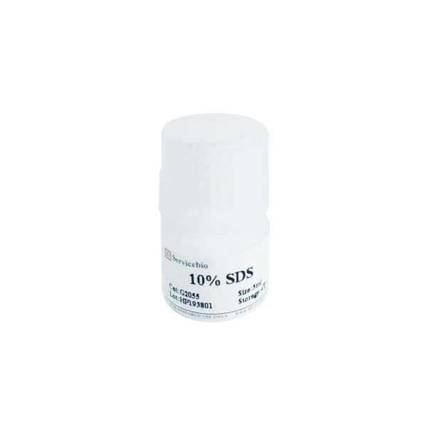 100ml 10% SDS Sodium Dodecyl Sulfate