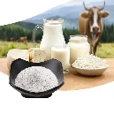Hot sale White lactic acid bacteria powder Nisin suitable for dairy products, meat products and seafood products