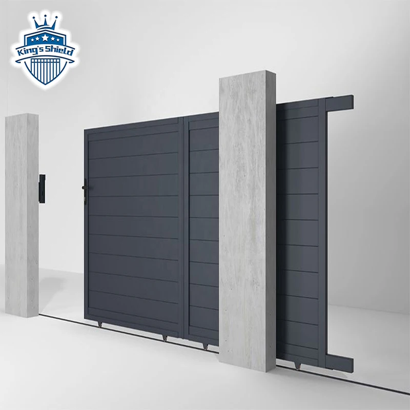 Modern Garden Main Door Design House Designs Pictures Sliding Aluminum Gate