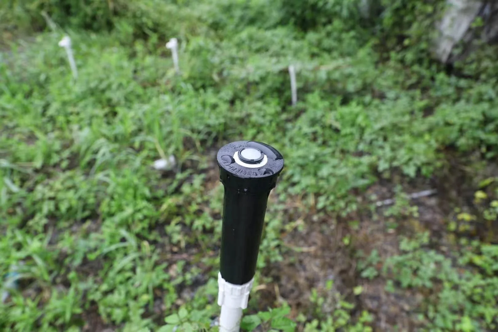 3/4 Inch Agricultural Underground Garden Lawn Pop Up Irrigation System Rotating Pop up Sprinkler