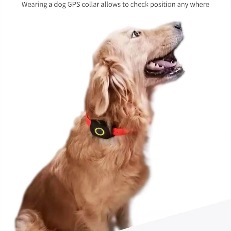 2024 Brand new cheap pet ip67 high quality competitive price phone tracker gps football performance tracker