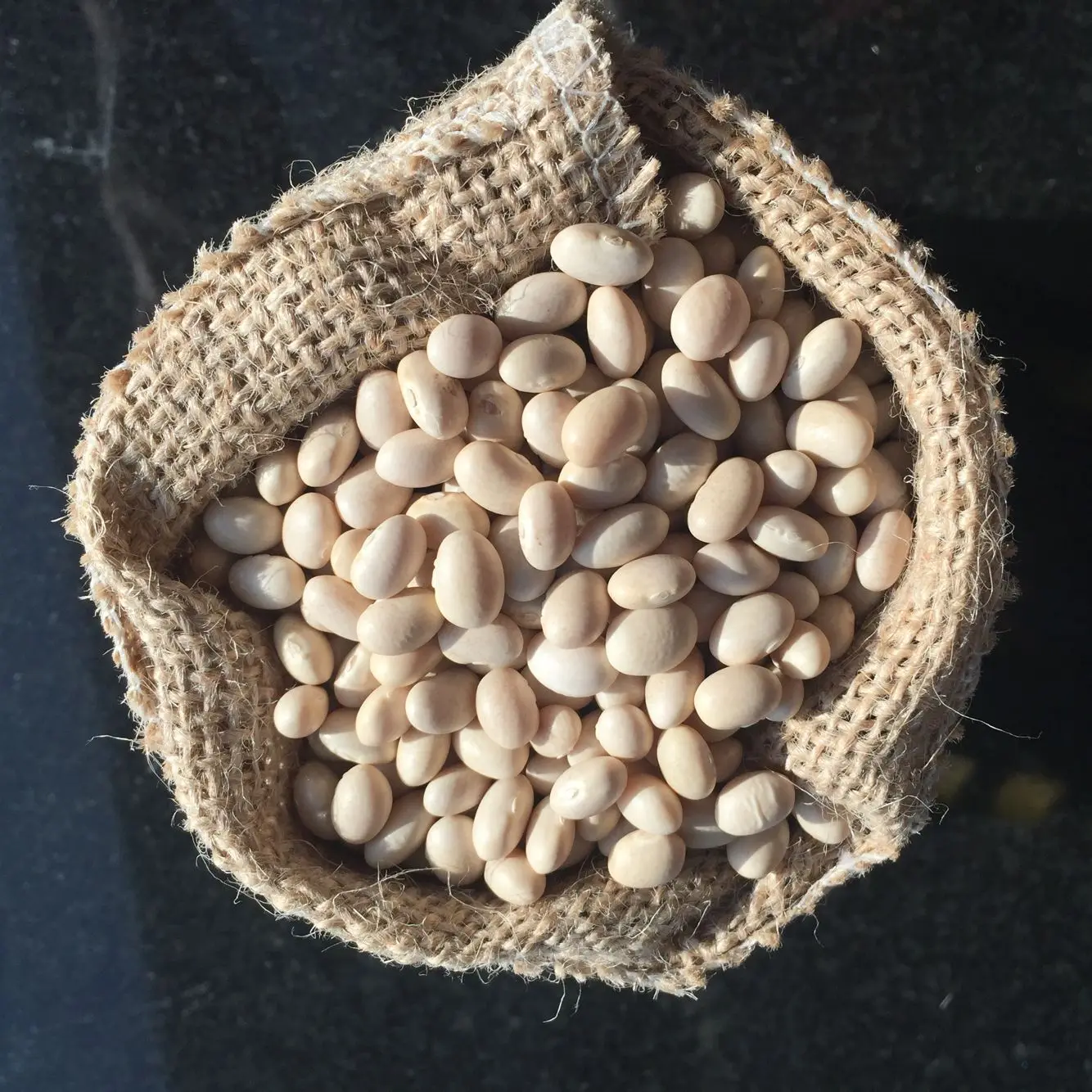 Chinese White Kidney Beans bulk package